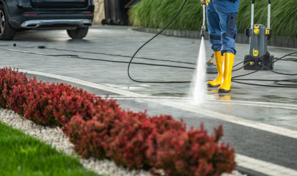 Best Gutter Cleaning  in Madisonville, KY